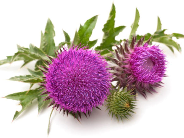 7 Foods to Protect Your Liver